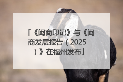 《闽商印记》与《闽商发展报告（2025）》在福州发布