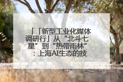 「新型工业化媒体调研行」从“北斗七星”到“热带雨林”：上海AI生态的技术商业共生密码