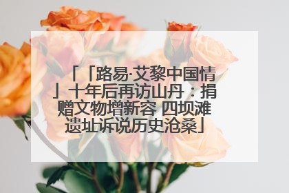 「路易·艾黎中国情」十年后再访山丹：捐赠文物增新容 四坝滩遗址诉说历史沧桑