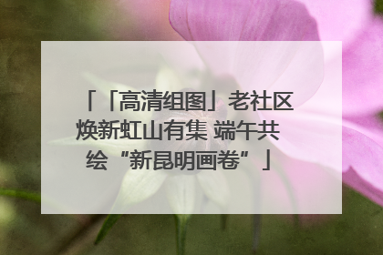 「高清组图」老社区焕新虹山有集 端午共绘“新昆明画卷”