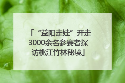 “益阳走娃”开走 3000余名参赛者探访桃江竹林秘境