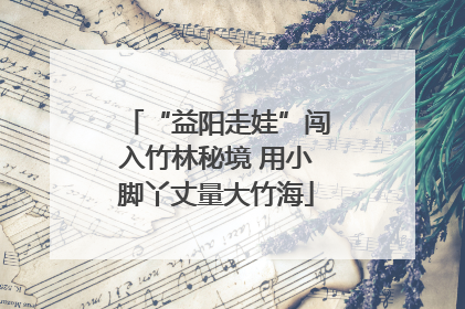 “益阳走娃”闯入竹林秘境 用小脚丫丈量大竹海