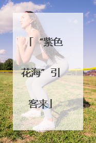 “紫色花海”引客来