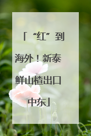 “红”到海外！新泰鲜山楂出口中东