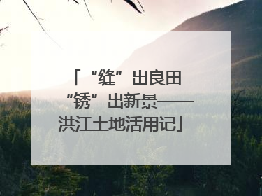 “缝”出良田 “锈”出新景——洪江土地活用记
