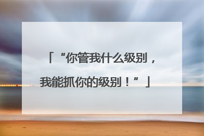 “你管我什么级别，我能抓你的级别！”