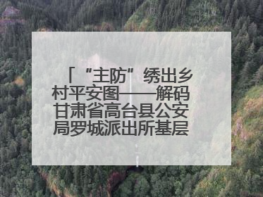 “主防”绣出乡村平安图——解码甘肃省高台县公安局罗城派出所基层治理新实践