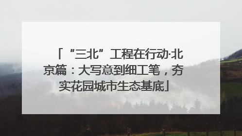 “三北”工程在行动·北京篇：大写意到细工笔，夯实花园城市生态基底