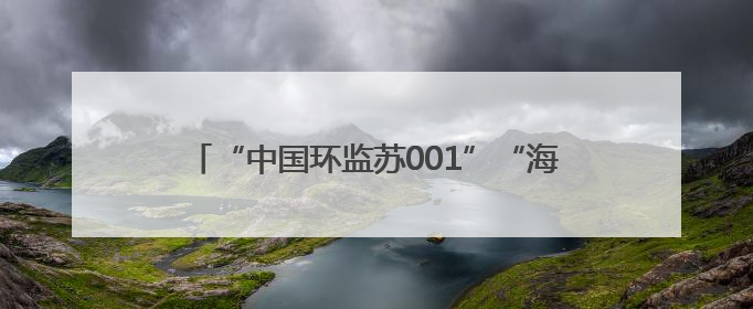 “中国环监苏001”“海巡31”船舶开放日：中外学子共探海洋环保科技 跨文化交流筑牢“蓝色”友谊