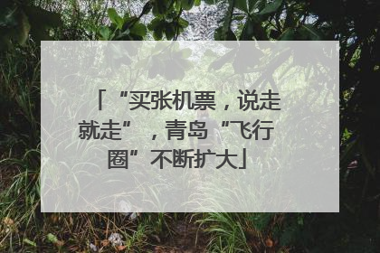 “买张机票，说走就走”，青岛“飞行圈”不断扩大