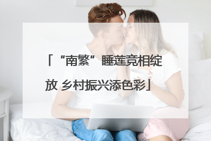 “南繁”睡莲竞相绽放 乡村振兴添色彩