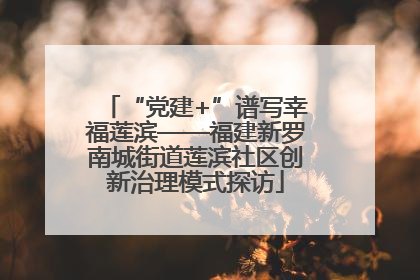 “党建+”谱写幸福莲滨——福建新罗南城街道莲滨社区创新治理模式探访