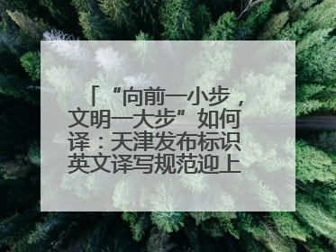 “向前一小步，文明一大步”如何译：天津发布标识英文译写规范迎上合峰会