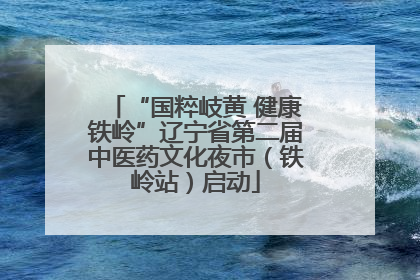 “国粹岐黄 健康铁岭”辽宁省第二届中医药文化夜市（铁岭站）启动