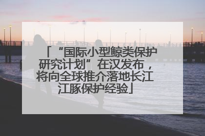 “国际小型鲸类保护研究计划”在汉发布，将向全球推介落地长江江豚保护经验