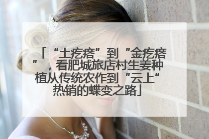 “土疙瘩”到“金疙瘩”，看肥城旅店村生姜种植从传统农作到“云上”热销的蝶变之路