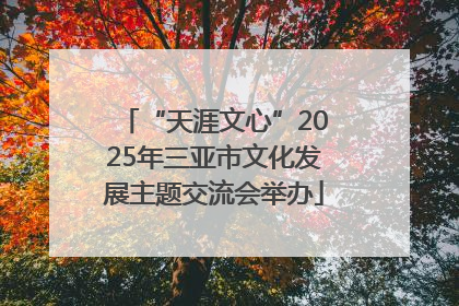 “天涯文心”2025年三亚市文化发展主题交流会举办