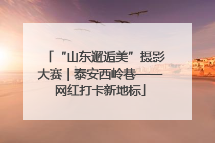 “山东邂逅美”摄影大赛｜泰安西岭巷——网红打卡新地标