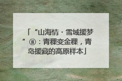 “山海情・雪域援梦”⑧：青稞变金稞，青岛援藏的高原样本