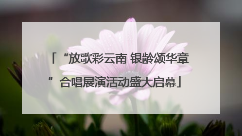 “放歌彩云南 银龄颂华章”合唱展演活动盛大启幕
