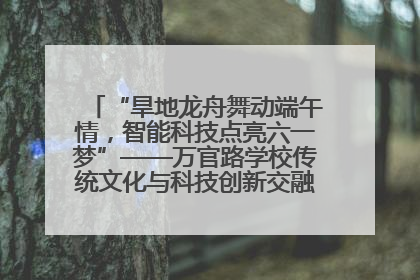 “旱地龙舟舞动端午情，智能科技点亮六一梦”——万官路学校传统文化与科技创新交融的精彩盛宴