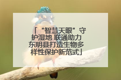 “智慧天眼”守护湿地 联通助力东明县打造生物多样性保护新范式