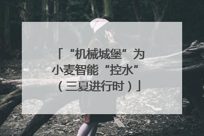 “机械城堡”为小麦智能“控水”（三夏进行时）