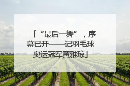 “最后一舞”，序幕已开——记羽毛球奥运冠军黄雅琼