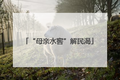 “母亲水窖”解民渴