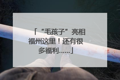 “毛孩子”亮相福州这里！还有很多福利……