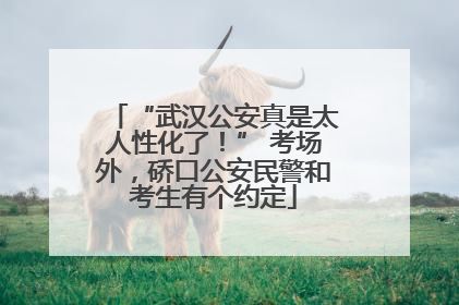 “武汉公安真是太人性化了！” 考场外，硚口公安民警和考生有个约定