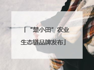 “楚小田”农业生态链品牌发布