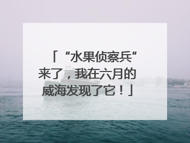 “水果侦察兵”来了，我在六月的威海发现了它！