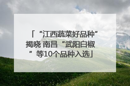 “江西蔬菜好品种”揭晓 南昌“武阳白椒”等10个品种入选