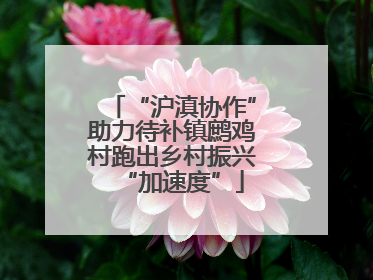“沪滇协作”助力待补镇鹧鸡村跑出乡村振兴“加速度”