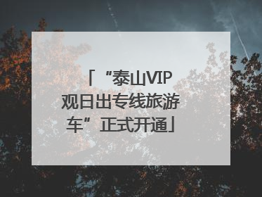 “泰山VIP观日出专线旅游车”正式开通