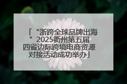 “浙跨全球品牌出海”2025衢州第五届四省边际跨境电商资源对接活动成功举办