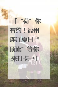 “荷”你有约！福州连江夏日“顶流”等你来打卡→