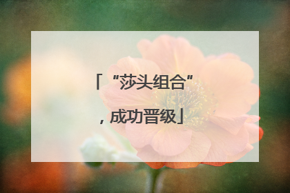 “莎头组合”，成功晋级