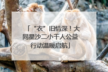 “衣”旧情深！大同星沙二小千人公益行动温暖启航