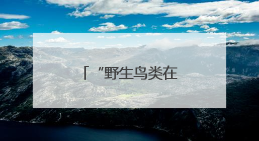 “野生鸟类在这里公开贩卖”，人民日报暗访后，西安表态