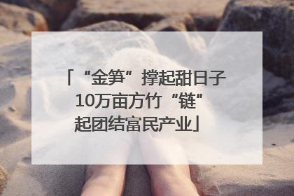 “金笋”撑起甜日子 10万亩方竹“链”起团结富民产业
