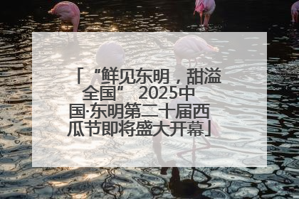 “鲜见东明，甜溢全国” 2025中国·东明第二十届西瓜节即将盛大开幕