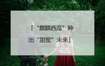 “麒麟西瓜”种出“甜蜜”未来