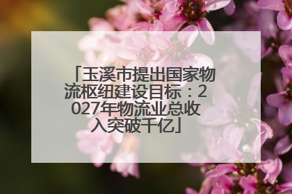 玉溪市提出国家物流枢纽建设目标：2027年物流业总收入突破千亿
