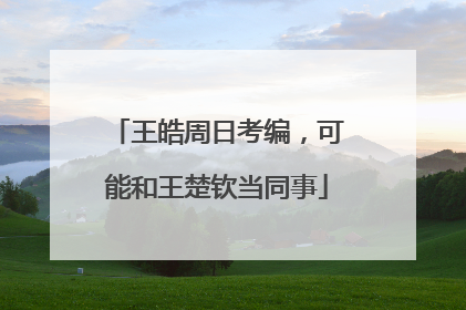 王皓周日考编，可能和王楚钦当同事