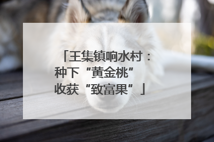王集镇响水村：种下“黄金桃” 收获“致富果”