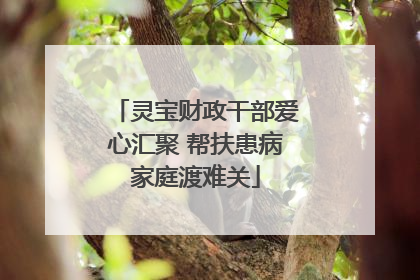 灵宝财政干部爱心汇聚 帮扶患病家庭渡难关