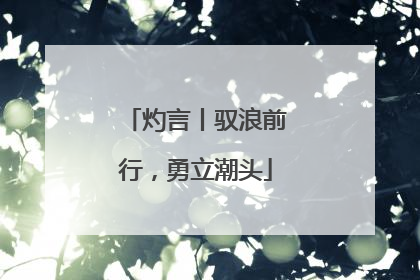 灼言丨驭浪前行，勇立潮头