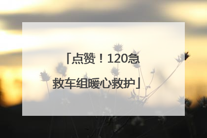 点赞！120急救车组暖心救护